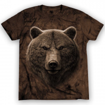 BRUIN