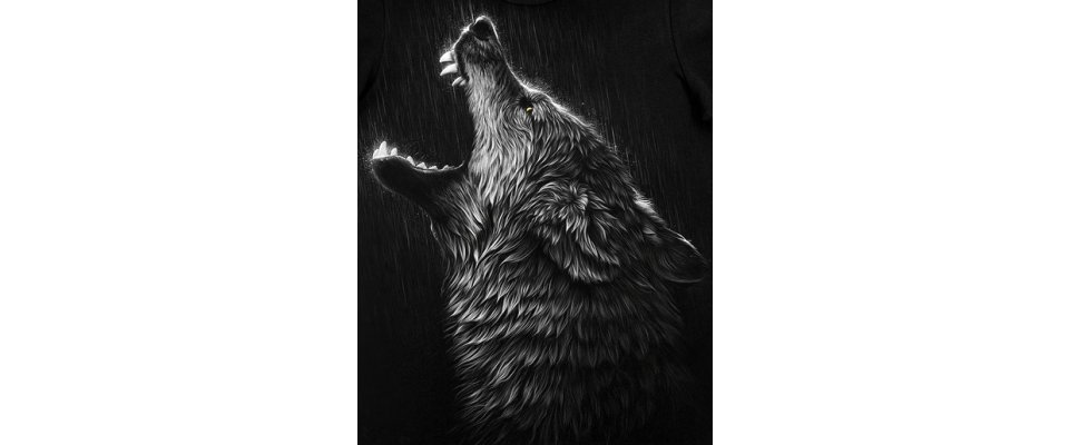 INSIDE THE RAIN