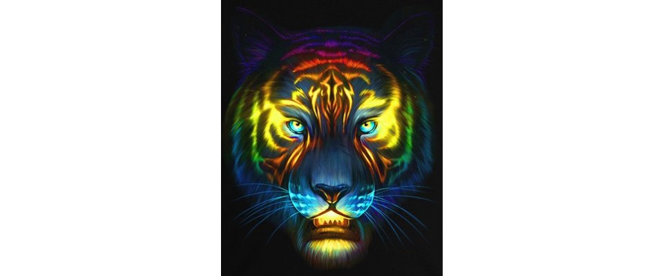 КОСМИЧЕСКИЙ ТИГР
