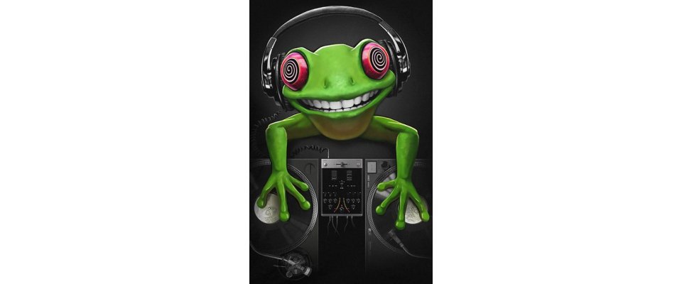 CRAZY FROG