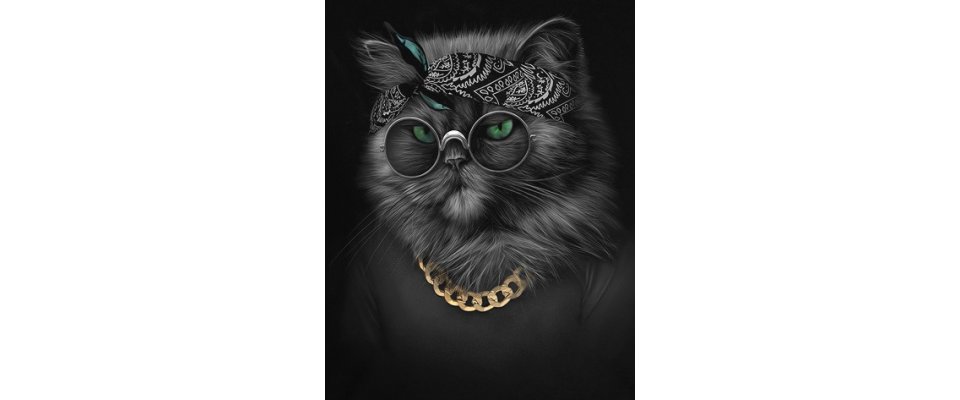 КОТ БАЗИЛИО