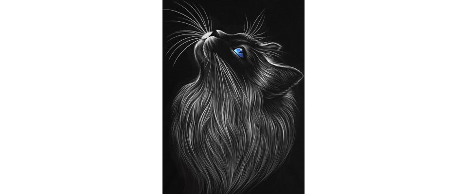 CAT LOOK