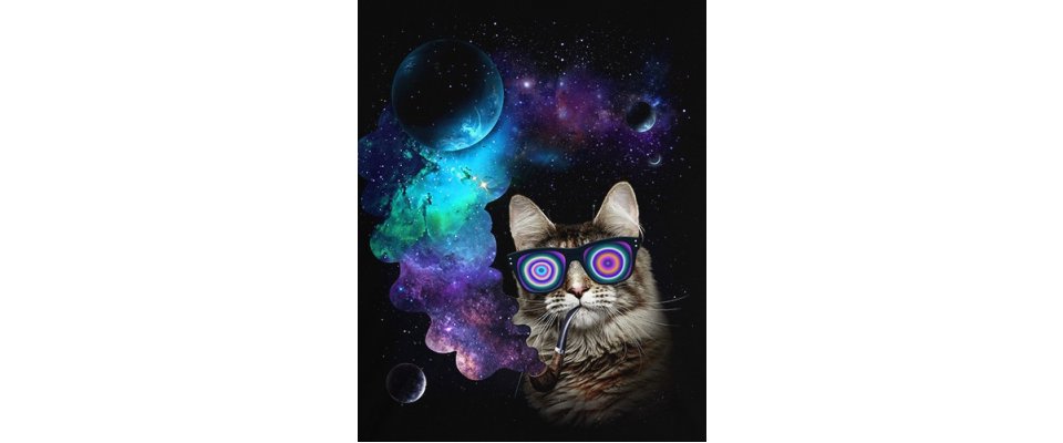 КОСМИЧЕСКИЙ КОТ