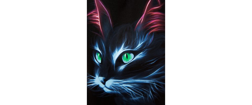 ФЛЮРА КОШКА