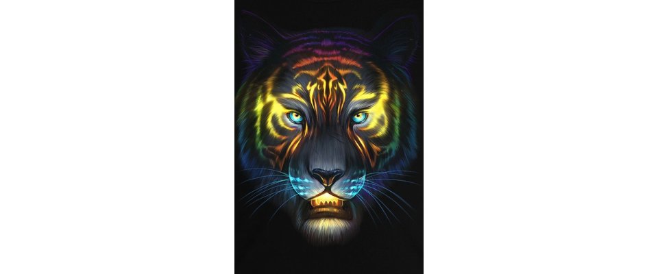 КОСМИЧЕСКИЙ ТИГР