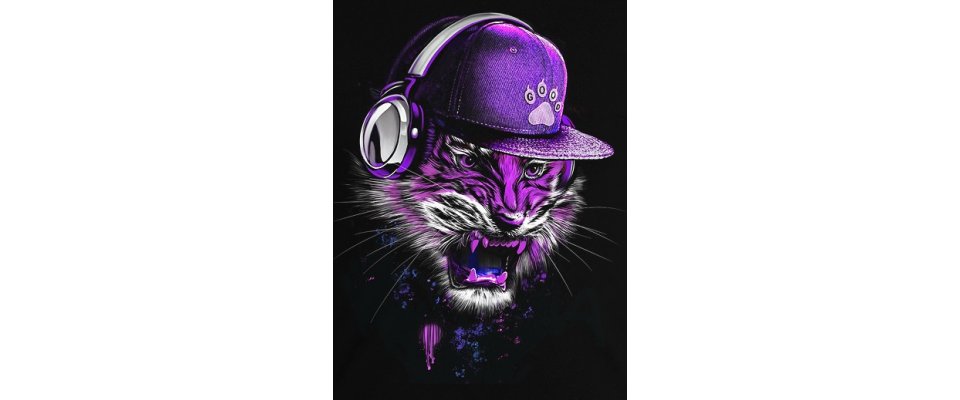DJ TIGER