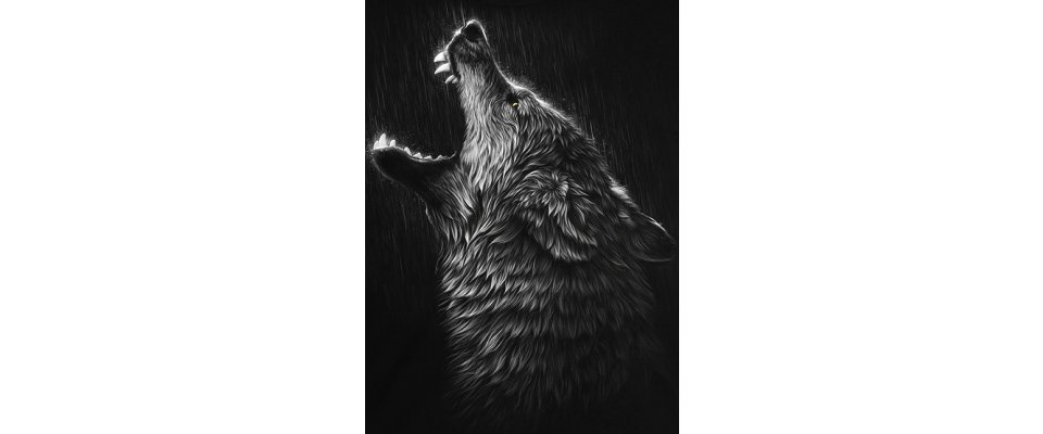 INSIDE THE RAIN