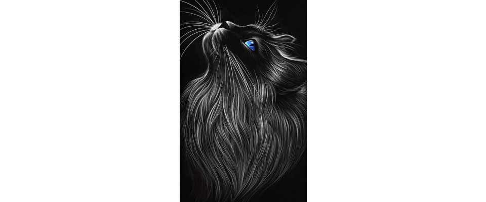 CAT LOOK
