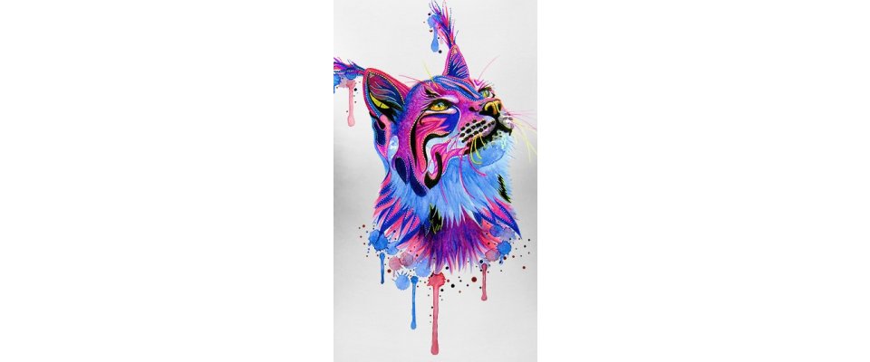 CATS TRIBE