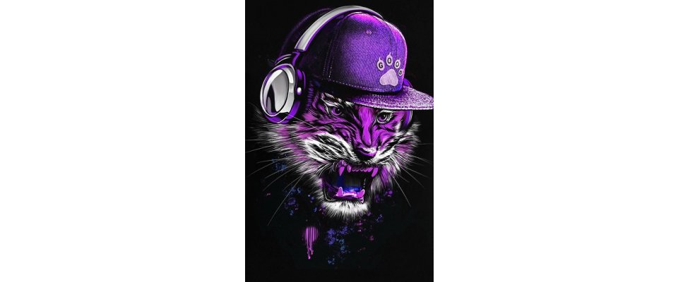DJ TIGER
