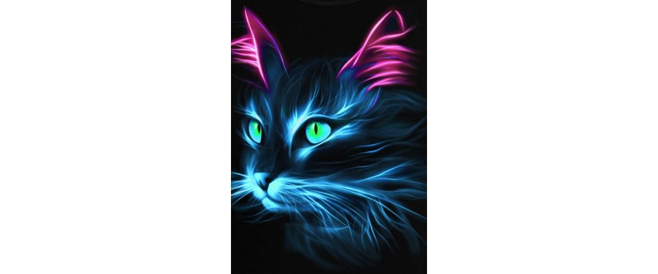 ФЛЮРА КОШКА
