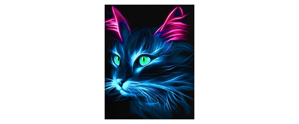 ФЛЮРА КОШКА