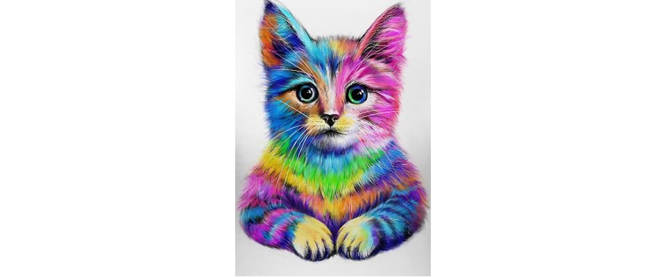 ФЛЮРА КОТЕНОК