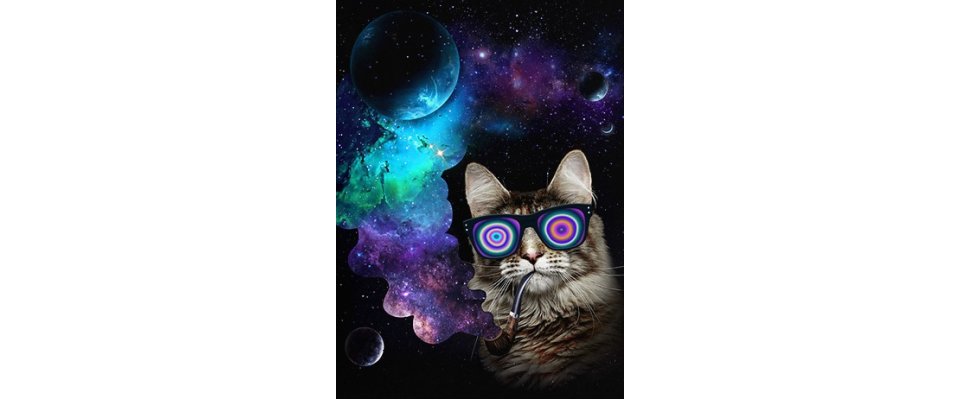 КОСМИЧЕСКИЙ КОТ