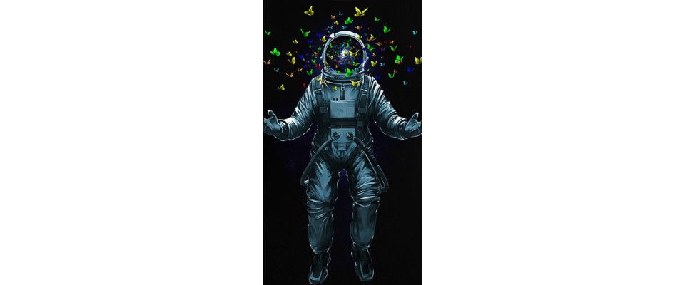 SPACE INSIDE